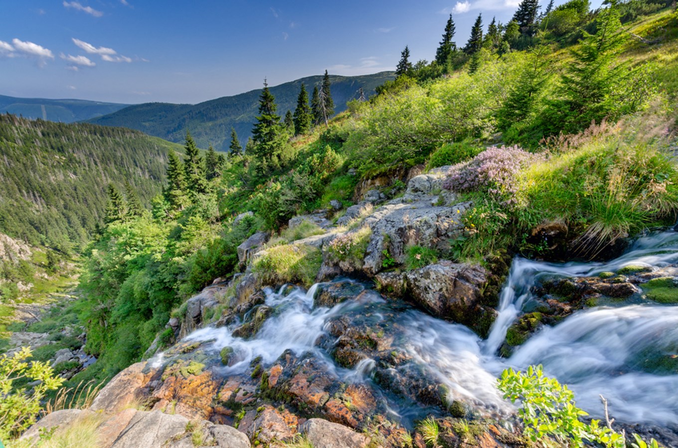 Mountain Retreat