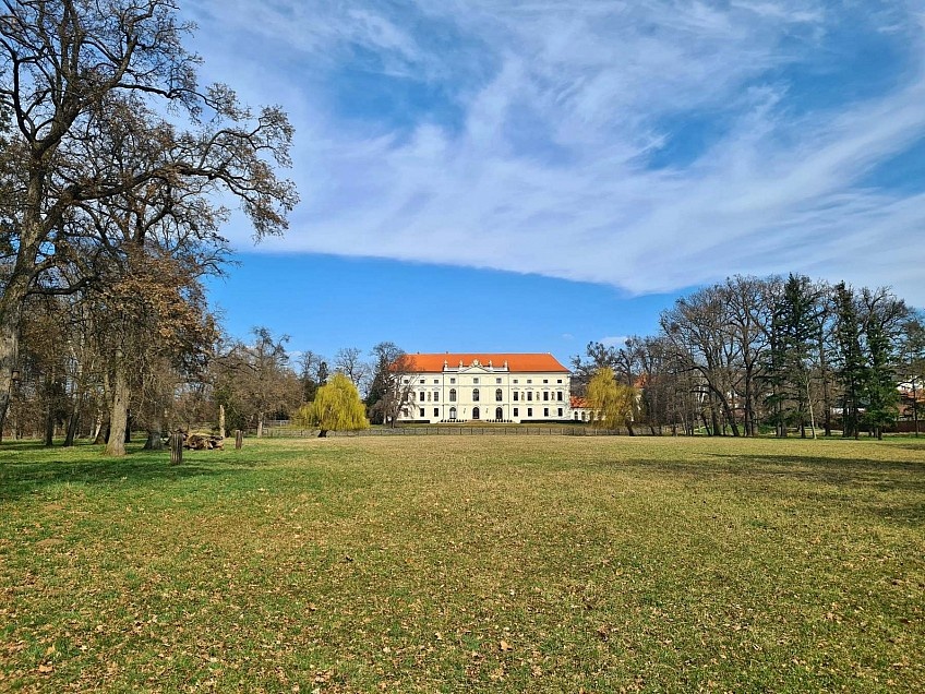 Driven wing shooting estate